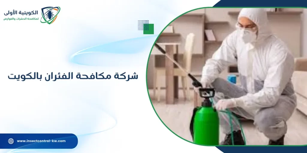 شركة مكافحة الفئران بالكويت