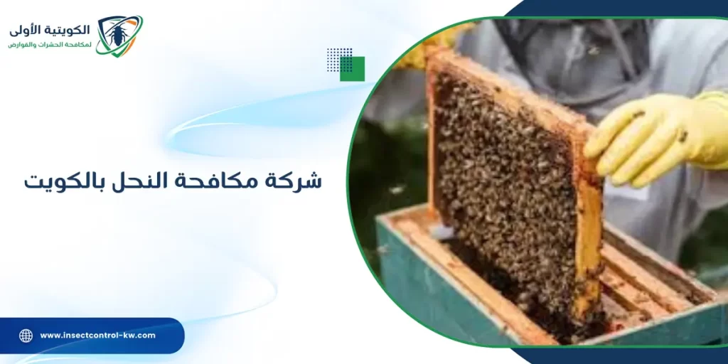 شركة مكافحة النحل بالكويت