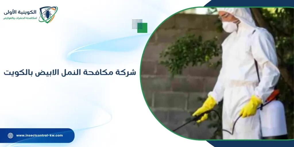 شركة مكافحة النمل الابيض بالكويت