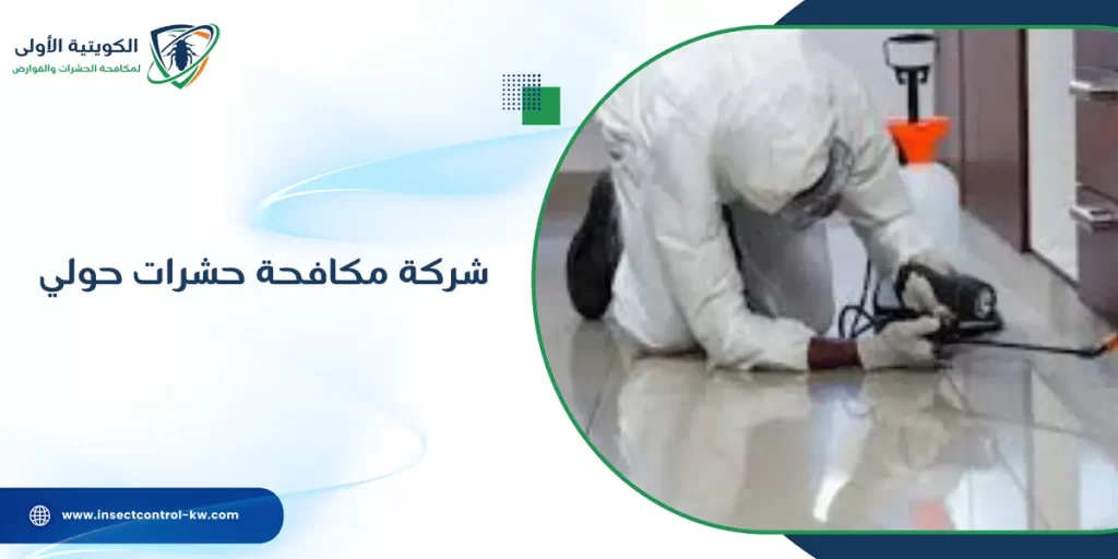 شركة مكافحة حشرات حولي