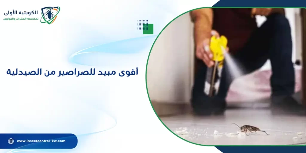 أقوى مبيد للصراصير من الصيدلية