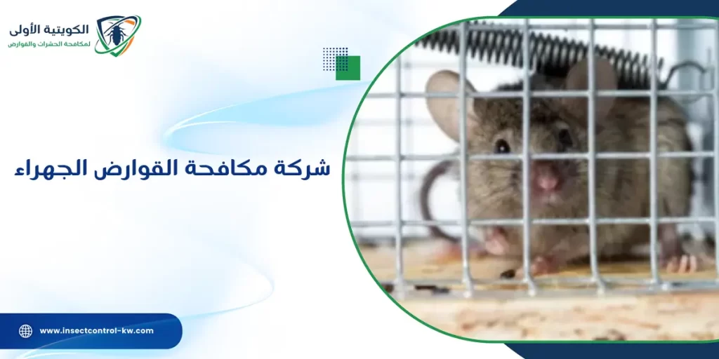 شركة مكافحة القوارض الجهراء
