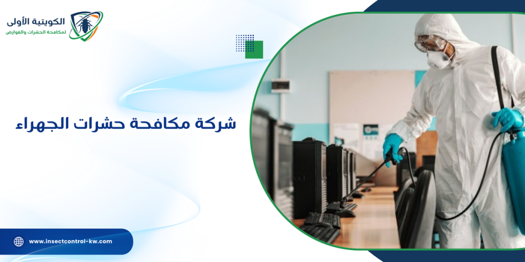 شركة مكافحة حشرات الجهراء