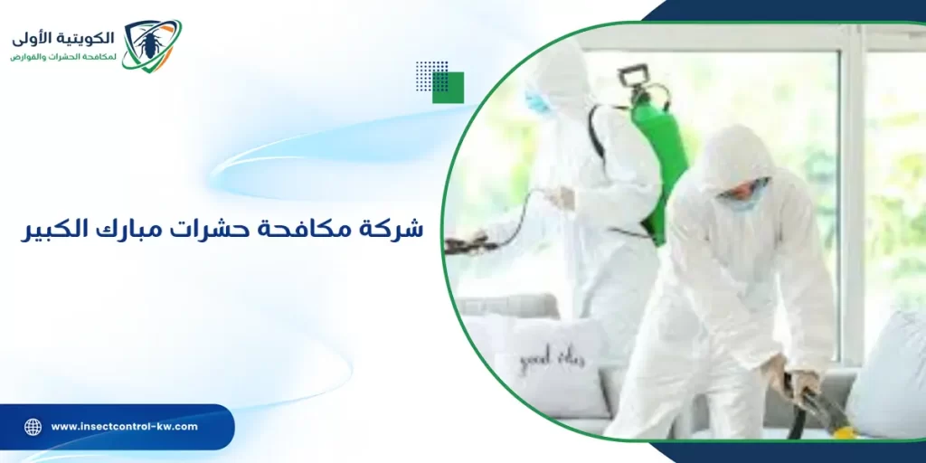 شركة مكافحة حشرات مبارك الكبير