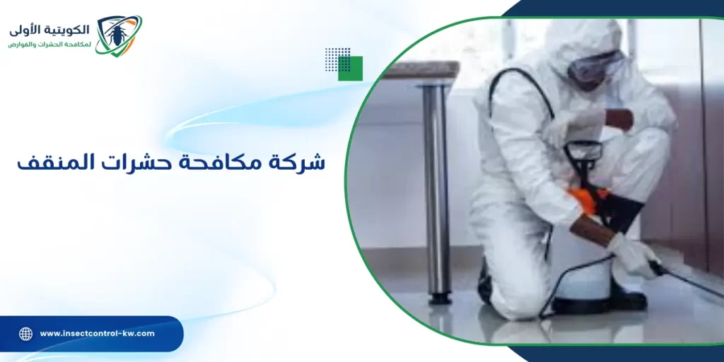 شركة مكافحة حشرات المنقف