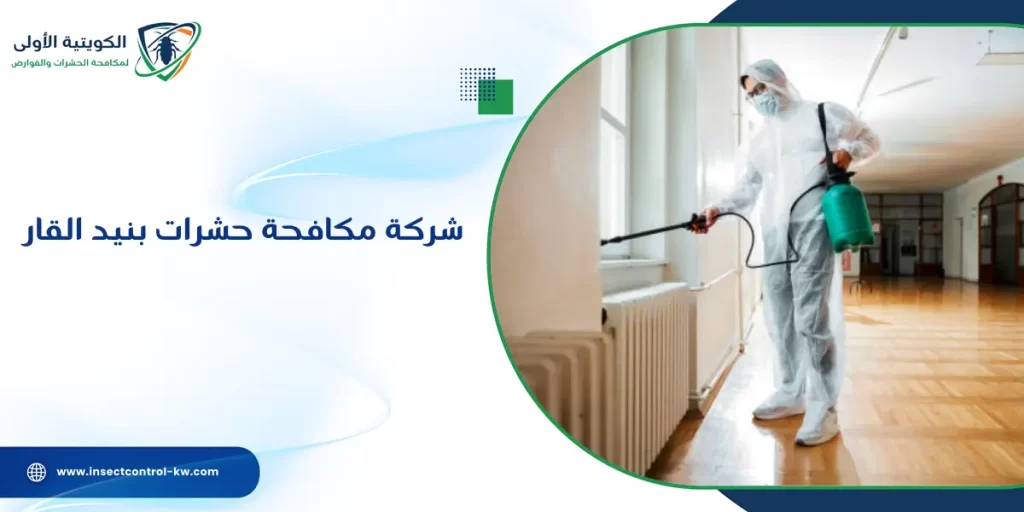 شركة مكافحة حشرات بنيد القار